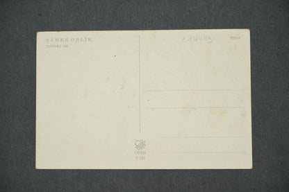 Pohlednice ZÁMEK ORLÍK RYTÍŘSKÝ SÁL (x14493)