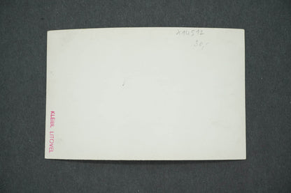 Pohlednice BOUZOV Č.S.R. (x14512)