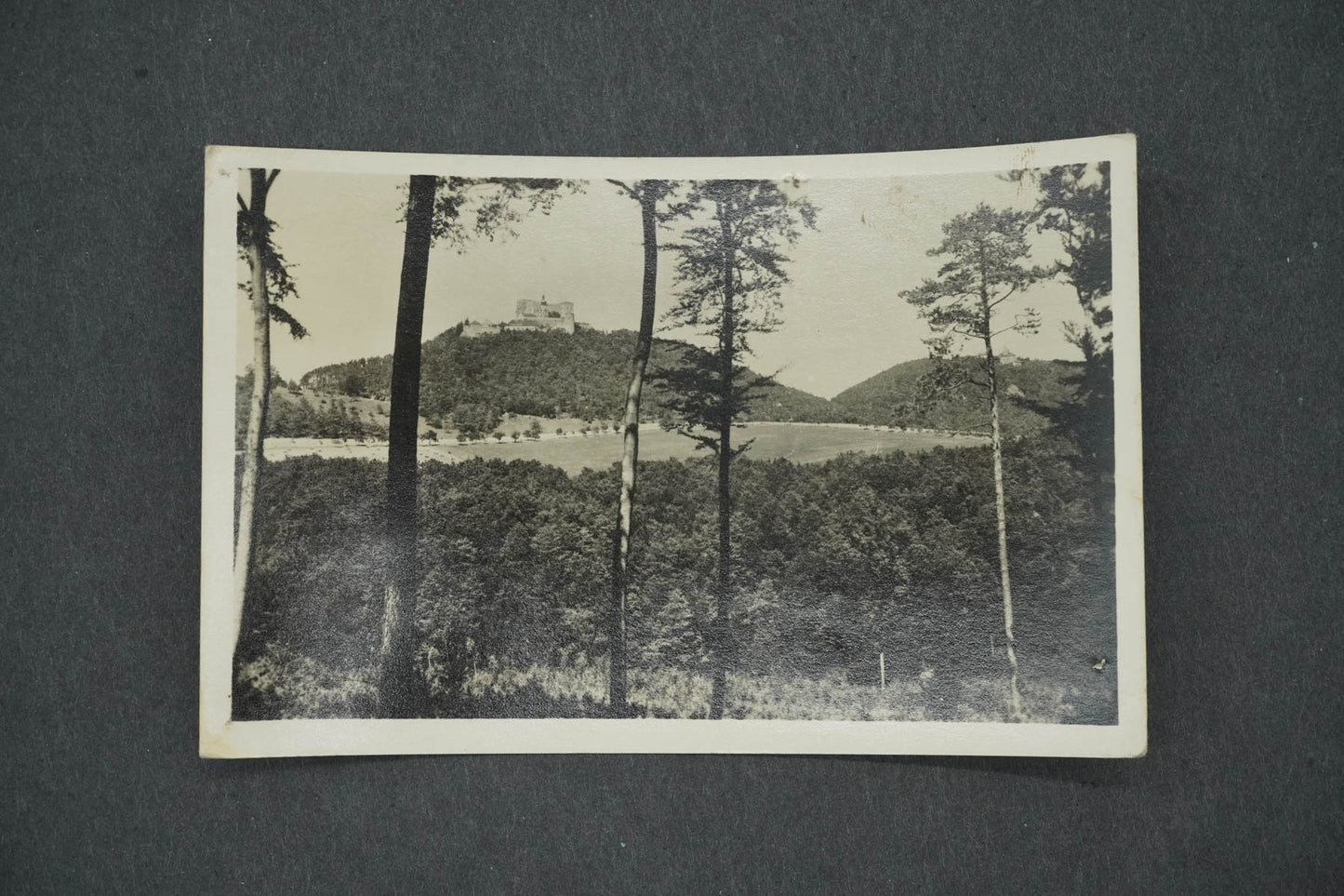 Pohlednice HRAD BUCHLOV (x14556)