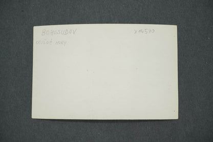 Pohlednice BOHUSUDOV KRUŠNÉ HORY (x14570)