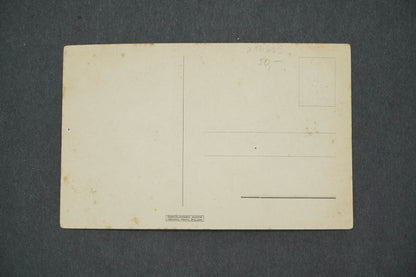 Pohlednice ČESKÝ ZÁMEK 1945 (x14625)