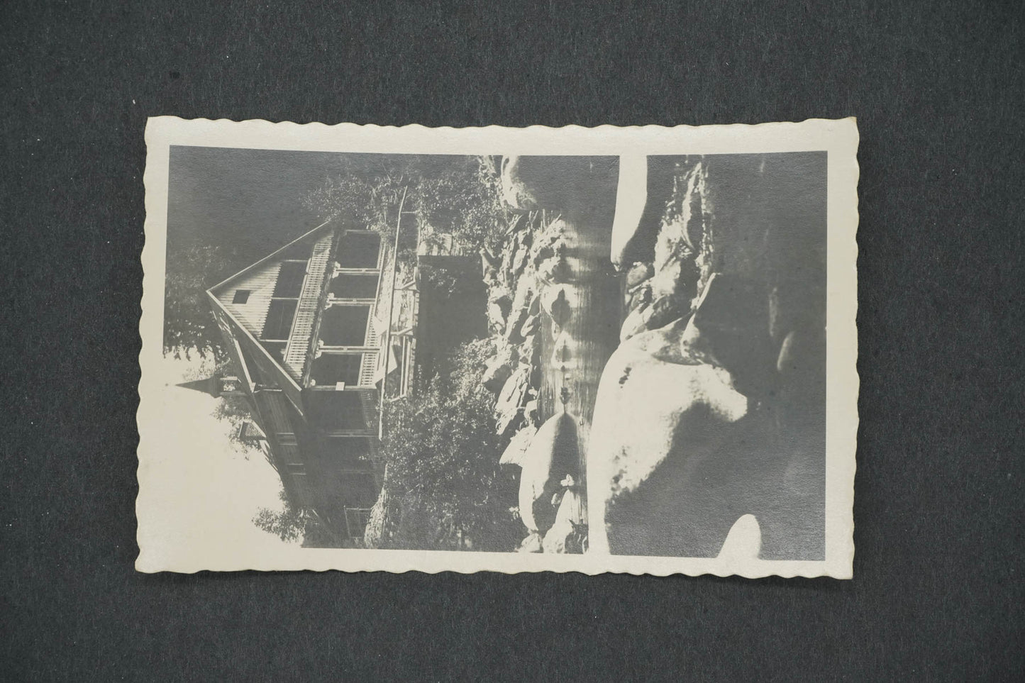 Pohlednice ŠUMAVA - TURNEROVA CHATA NA VYDŘE (x14676)