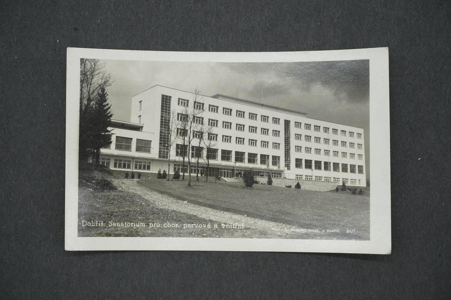 Pohlednice DOBŘÍŠ (x14684)