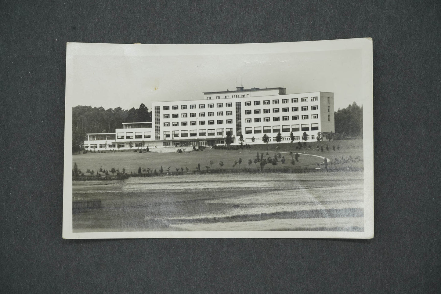 Pohlednice DOBŘÍŠ (x14685)