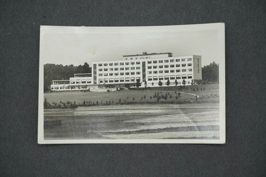 Pohlednice DOBŘÍŠ (x14685)