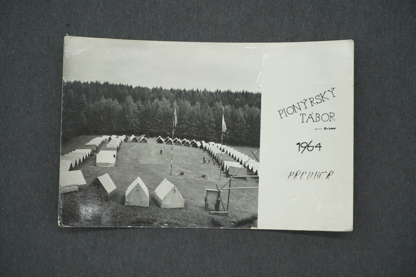 Postcard PIONEER CAMP 1964 (x14689)