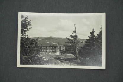 Postcard KRKONOSE PETROVKA (x14692)