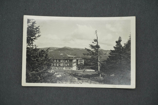 Postcard KRKONOSE PETROVKA (x14692)