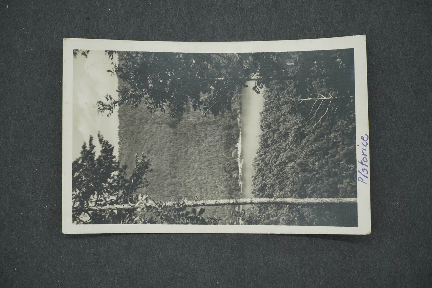 Postcard PÍSTOVICKA RIVIERA, SWIMMING POOL OF THE VYŠKOV KČT BRANCH (x14710)