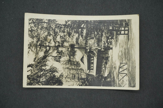 Postcard VZLET - JESKYŘKA COTTAGE U JAVOŘÍČEK (x14714)