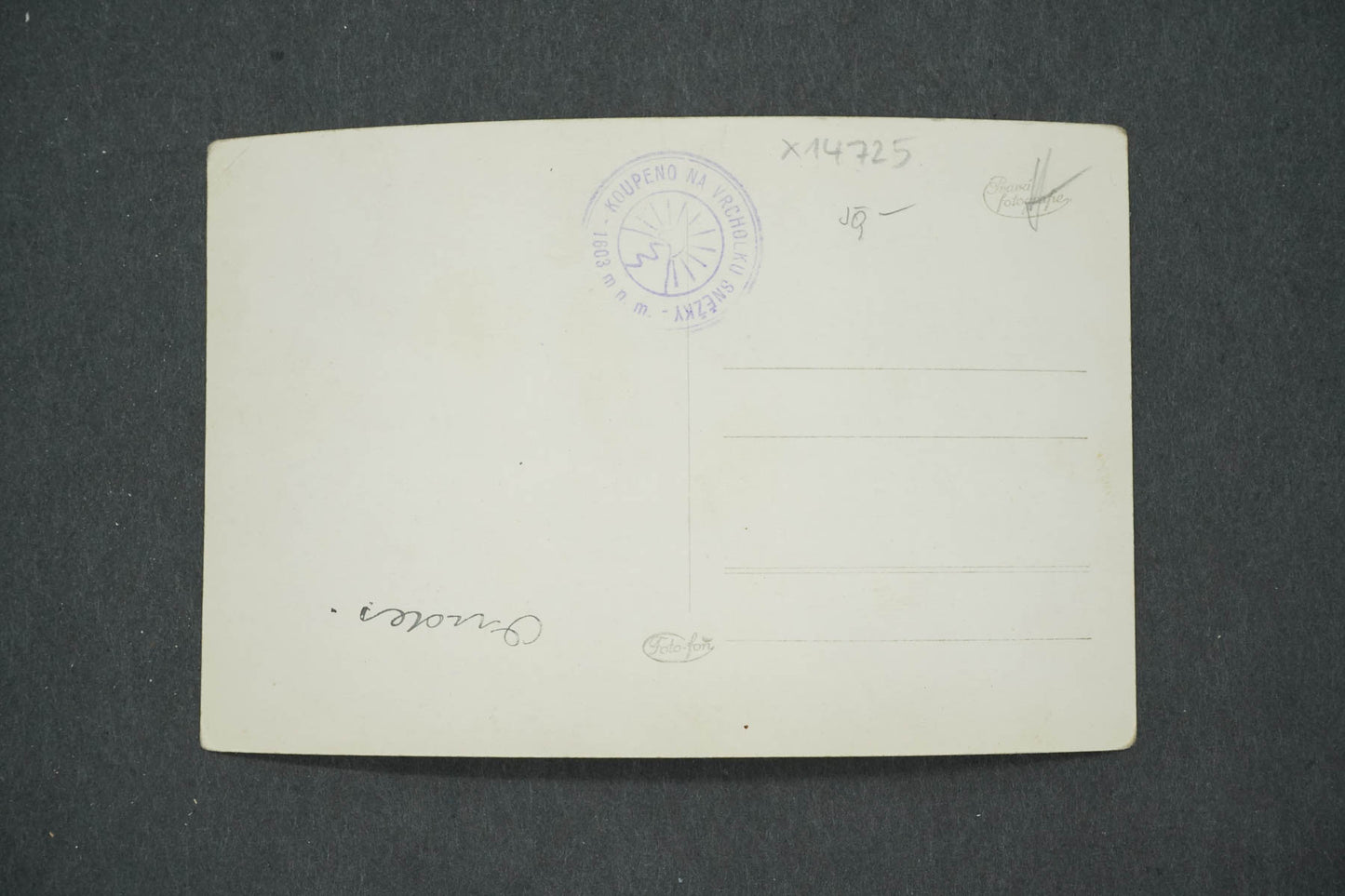 Pohlednice KRKONOŠE : POHLED NA SNĚŽKU (x14725)