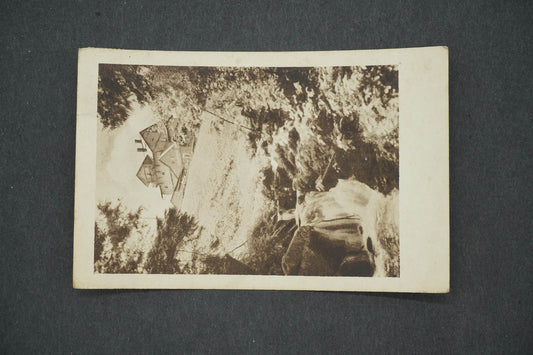 Pohlednice VELKÁ ÚPA ČERVENOKOSTELECKÁ BOUDA (x14776)