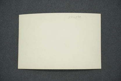 Pohlednice ČESKÝ DŮM (x14819)