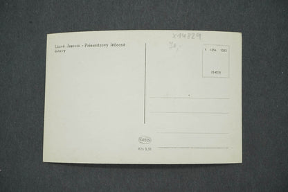 Pohlednice LÁZNĚ JESENÍK - PRIESNITZOVY LÉČEBNÉ ÚSTAVY (x14829)