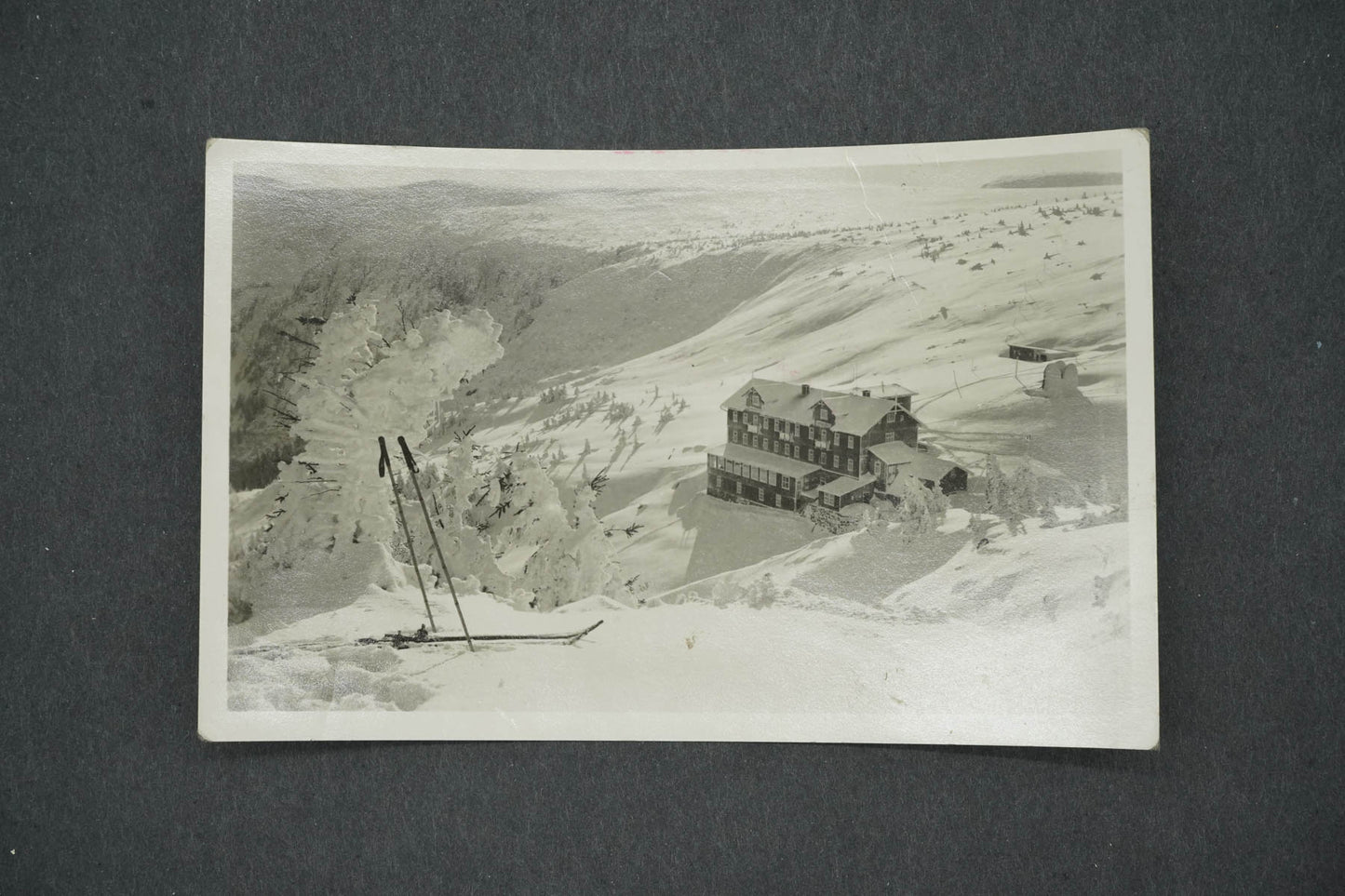 Pohlednice KRKONOŠE - LABSKÁ BOUDA 1284 M. N. M. (x14834)