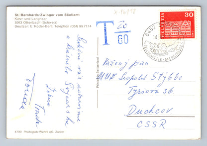 Pohlednice ST. BERNHARDS - ZWINGER VOM SÄULIAMT (x16118)