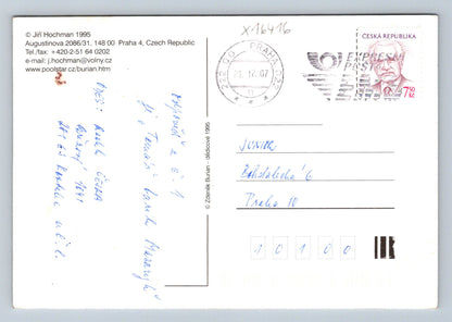 Pohlednice JIŘÍ HOCHMAN 1995 BURIAN (x16416)