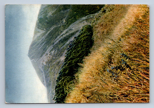 Pohlednice KRKONOŠE - SNĚŽKA (x16474)
