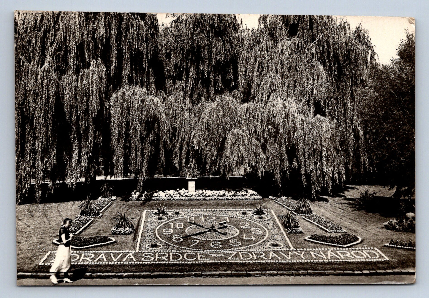 Pohlednice LÁZNĚ PODĚBRADY (x16482)