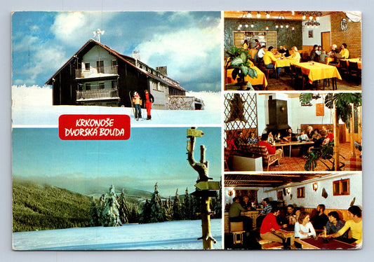 Pohlednice KRKONOŠE - DVORSKÁ BOUDA (x16509)