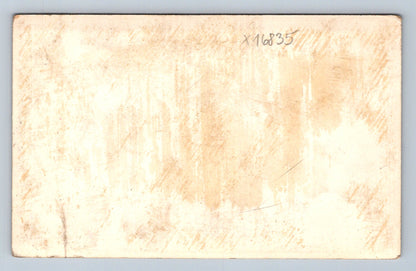 Pohlednice VELKÉ LOSINY (x16835)