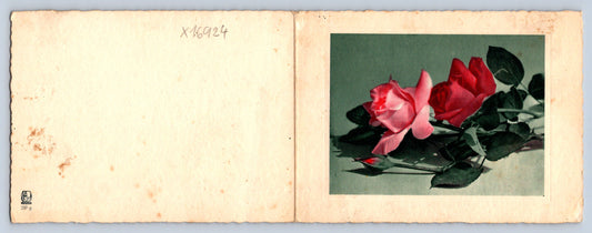 Pohlednice SRDEČNÉ BLAHOPŘÁNÍ (x16924)