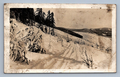 Pohlednice Špindlerův Mlýn - Na Pláni 1179 m (JN134)