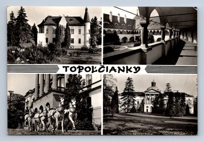 Pohlednice Topolčanky (JN290)
