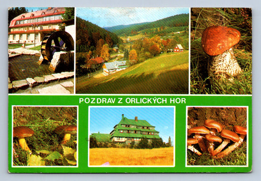Pohlednice Pozdrav z Orlických hor (JN337)
