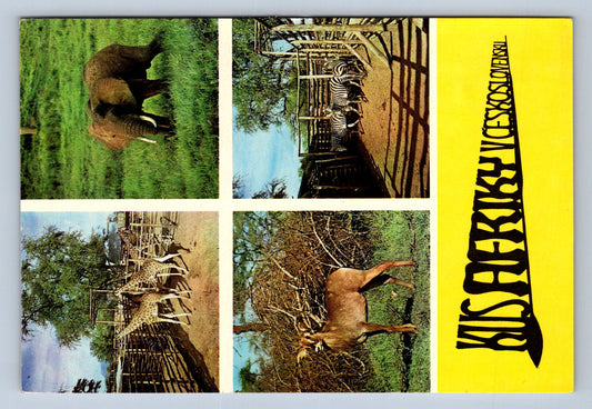 Pohlednice Dvůr Králové nad Labe ZOO (JN409)