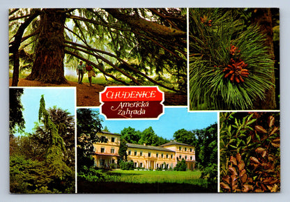 Pohlednice CHudenice - Americká zahrada (JN516)