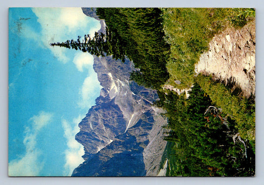 Pohlednice Vysoké Tatry --Studená dolina (JN643)