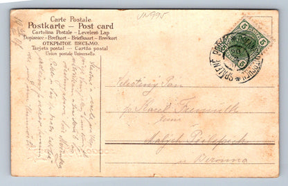 Pohlednice Veselé Velikonoce - Carte Postale - Zelená pohlednice s kuř