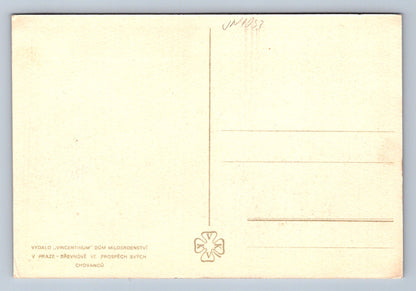 Pohlednice Maliny - Vydalo Vincentinum (JN1033)