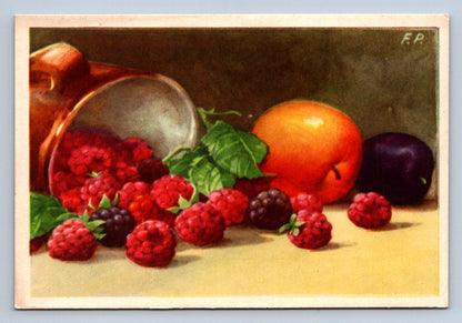 Pohlednice Maliny - Vydalo Vincentinum (JN1033)