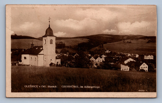 Pohlednice Olešnice v Orl.Horách - Giesshübel im Adlergebirge (JN1108)