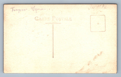 Pohlednice Taupen Carte postale (JN1197)