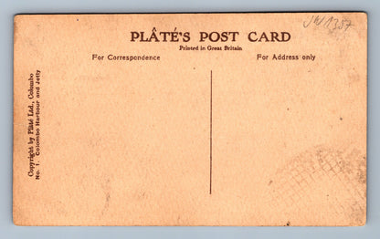 Pohlednice Plâté's post card (JN1357)