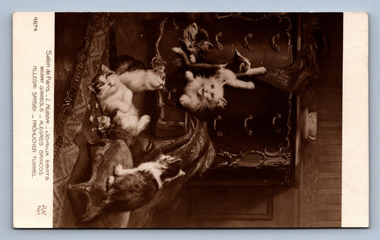 Pohlednice Salon de Paris KOČKY (JN1371)