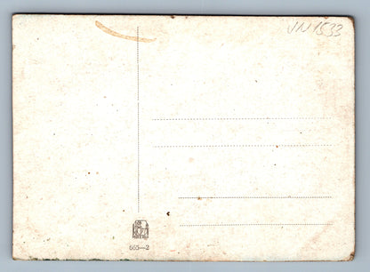 Pohlednice Chaloupka (JN1533)