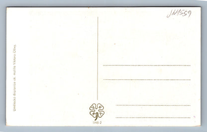 Pohlednice Umělecká dopisnice ak.mal V.Olivy (JN1559)