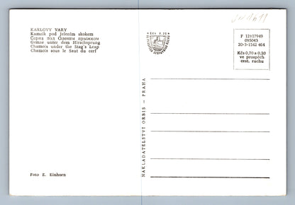 Postcard Karlovy Vary chamois under Deer's Leap (JN1611)