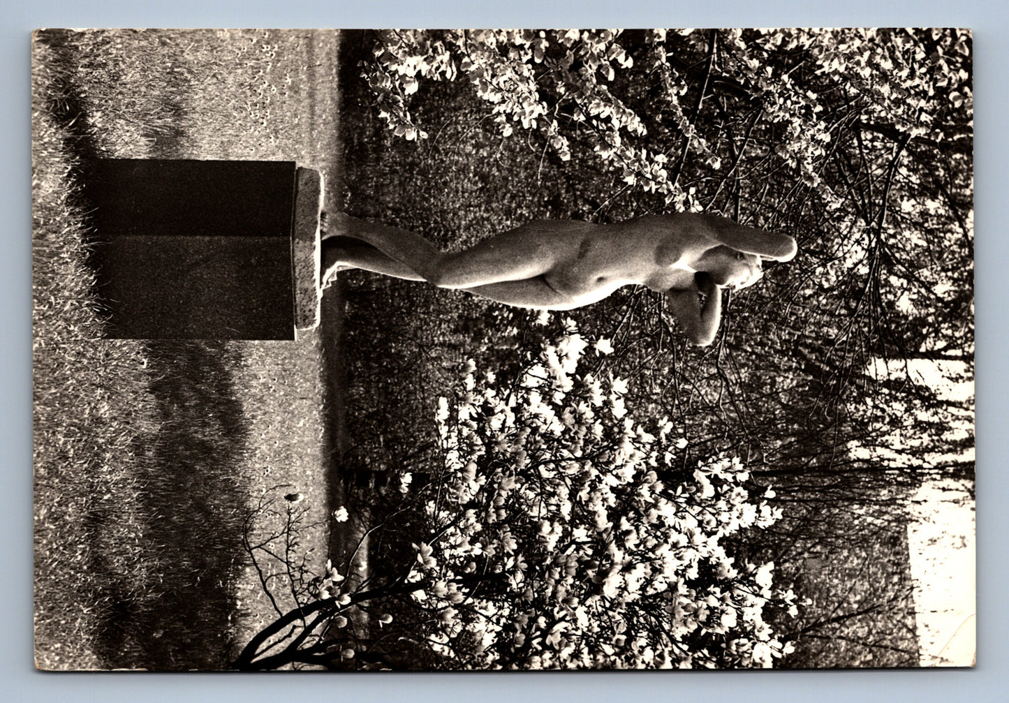 Postcard PODEBRADY - STATE CASTLE (x17316)