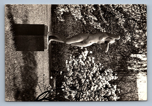 Postcard PODEBRADY - STATE CASTLE (x17316)