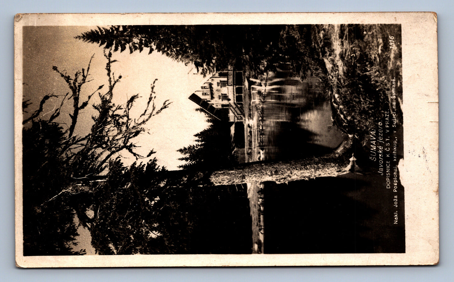 Pohlednice ŠUMAVA - JAVORSKÉ JEZERO (x17438)