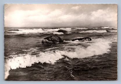 Pohlednice NĚMECKÉ MOŘE (x17634)