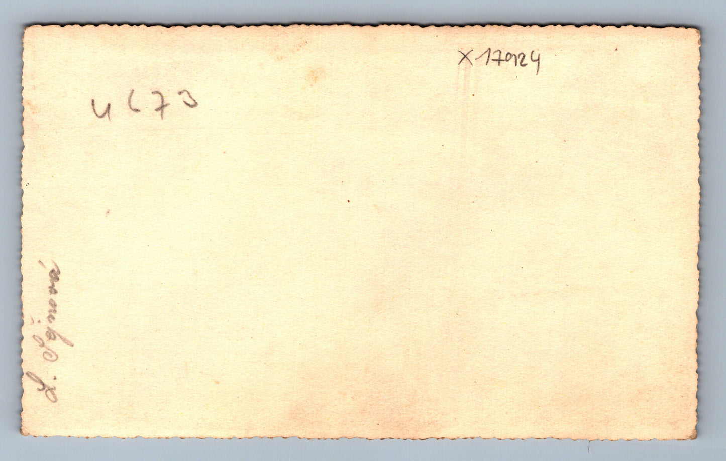 Fotografie L. ŠEJNOVÁ (x17924)