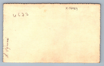 Fotografie L. ŠEJNOVÁ (x17924)