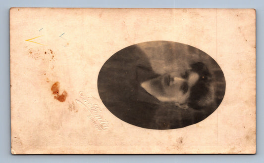 Pohlednice SYN (x17927)