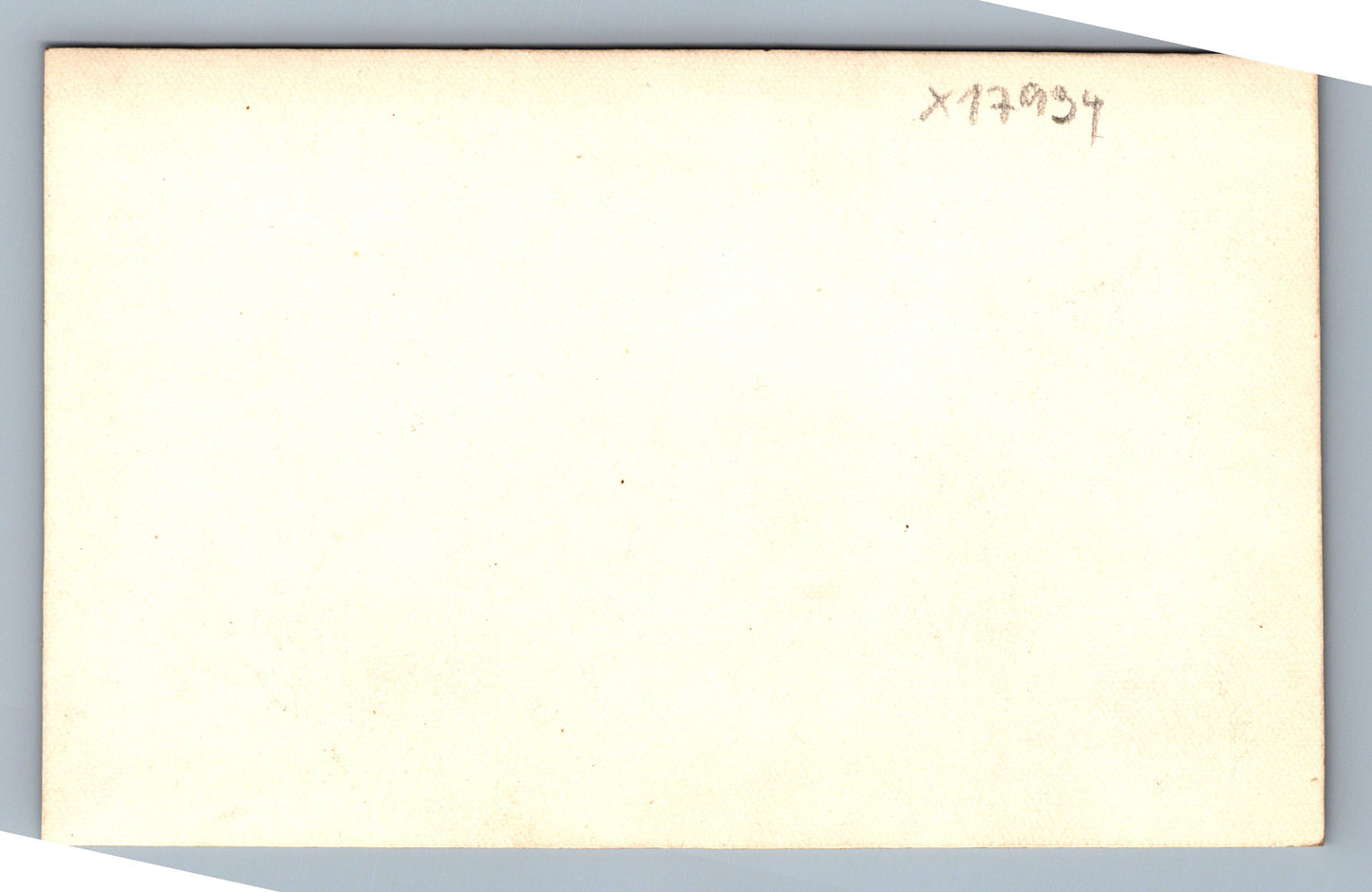Fotografie BABIČKA (x17934)
